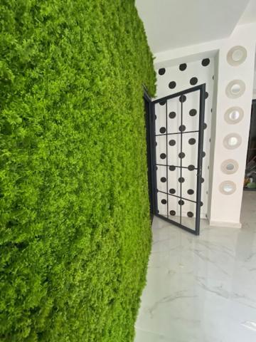 Casa vacanze 43